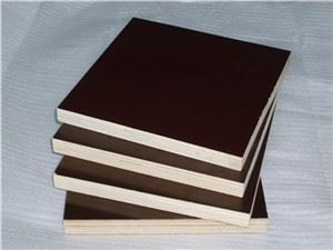Smooth Phenolic Plywood